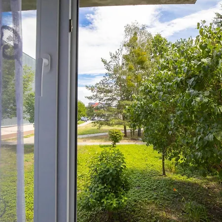 Lawendowy ピエツキ